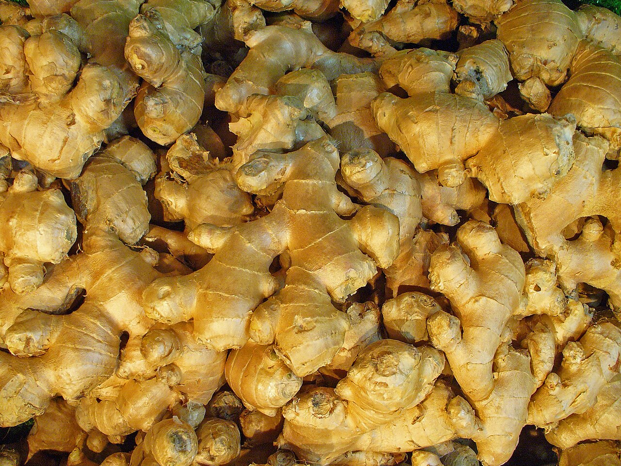 Fresh ginger root